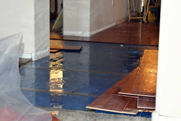 Professional Water Extraction technician working in Harrisonville, MO